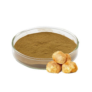 Farm Sourced Lion's Mane Powder Food Grade Naturally Grown Lions Mane Mushroom Extract Fine Mesh Bulk Supply from India - Product Image 1