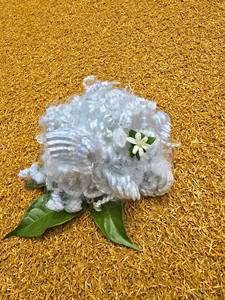 Fibra Discontinua Hueca No Conjugada 6Dx51 HF Retardante de Fuego - Tecnología Avanzada OEM ODM Marca Privada Segura para Uso Diario - Product Image 2