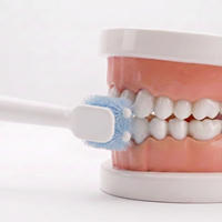 Brosse à dents électrique pour soins des gencives sensibles avec certification CE RoHS REACH pour un nettoyage en profondeur et l'élimination de la plaque dentaire