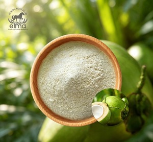 Crema en Polvo Instantánea No Láctea de Alta Calidad, Paquete a Granel de 25 KG, Certificación HACCP y HALAL, Reemplazo de Crema para Café, Cereal, Té con Leche - Product Image 1