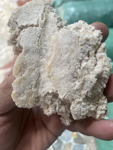 Poudre de coprah la plus vendue, résidu de noix de coco dégraissé, son de noix de coco, alimentation pour volailles, porcs et animaux, Vietnam - Product Image 6