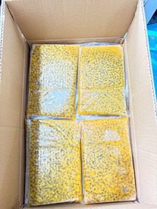 Usine du Vietnam Cubes de pulpe de fruit de la passion congelés Vietnam Emballage sous vide IQF Fournisseur de jus tropical prêt à l'emploi en gros - Product Image 4