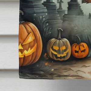 La Llorona esqueleto espeluznante Halloween Casa Grande bandera Multicolor poliéster patio Banner ilustraciones porche manga poste pared decorativa - Product Image 4