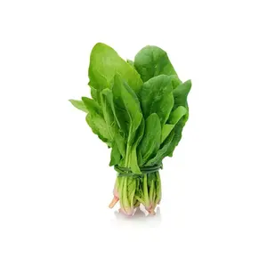 Polvo de Espinaca Secado por Aspersión - Polvo Verde Rico en Hierro y Calcio, Alto en Proteínas, Nombre Científico Spinacia Oleracea, para Smoothies/Batidos - Product Image 6