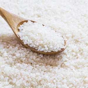 Arroz Japonica de Primera Selección, Grano Largo, Suave y Aromático, Empaque a Granel para Supermercados, Restaurantes y Comerciantes Mayoristas - Product Image 3