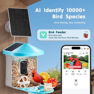 Telecamera per Alimentatore di Uccelli 2K HD ad Energia Solare con Identificazione AI delle Specie (Oltre 10.000 Specie) e Design Impermeabile - Product Image 2