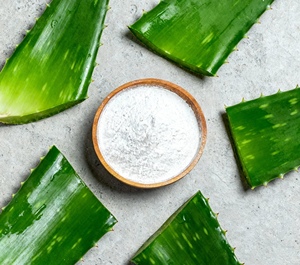 Poudre concentrée d'aloe vera 100X fiable en gros, de qualité supérieure pour les usines cosmétiques et les distributeurs de matières premières - Product Image 2