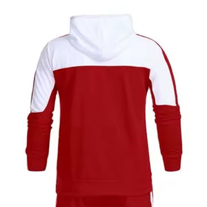 Ensemble de survêtement en molleton de coton mélangé pour homme avec logo personnalisé de haute qualité, coupe décontractée, sweat à capuche et pantalon de jogging, vente en gros, faible MOQ - Product Image 2