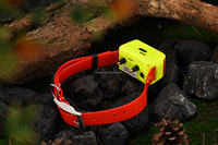 4G Mini traceur étanche anti-perte pour chien Gps chasse chien Gps collier traceur pour animaux de compagnie