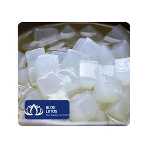[สินค้าขายดี] บลูโลตัส ฟาร์ม เจลลี่มะพร้าวน้ำตาลน้อย รสผลไม้ สำหรับชานม ชานมไข่มุก ใช้ในเชิงพาณิชย์ - Product Image 1