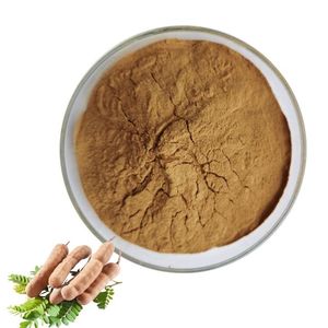 Extracto de Tamarindo en Polvo de Grado Alimenticio a Base de Plantas, Tamarindo en Polvo Seco Naturalmente, Mejora la Variedad de Alimentos y Apoya el Bienestar Digestivo - Product Image 1
