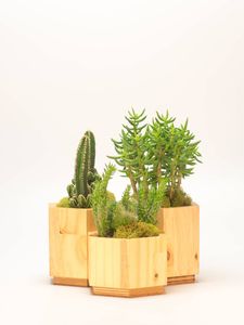 Fabricant OEM de jardinières en bois écologiques de grande taille pour la décoration de la cour, du patio, de la ferme et du jardin - Product Image 2
