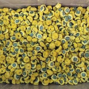 ชาดอกเก๊กฮวยอบแห้งบริสุทธิ์ขายดีที่สุด ชงดื่มเย็นสดชื่นทุกวัน - Product Image 3