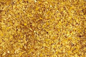 Germe de maïs, produit du Brésil, approvisionnement en vrac - Product Image 3