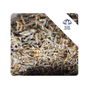 Anchoas secas de ALTA CALIDAD para sopa, caldo, condimento, ingrediente de mariscos utilizado en platos de mariscos, cocina de restaurante, Vietnam - Product Image 1