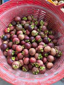 Mangoustan frais | Vente en gros de fruits biologiques 100% du Vietnam | Meilleur prix et haute qualité - Product Image 2