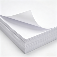 Papier Copieur Premium A4 80 g/m² – Lot de 5 Reams Sous Film Rétractable Anti-Humidité