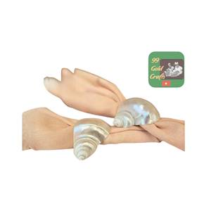 HOT SALE Vietnam Natural Seashell Napkin <b>Ring</b> Eco-Friendly for USA Home Decor Market Wholesale <b>Cheap</b> Bulk Price Export - Product Image 6