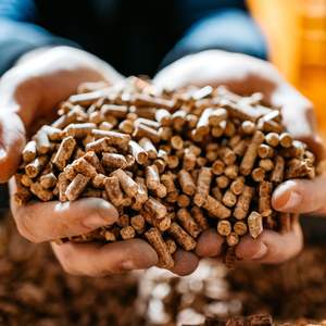 Precio de Fábrica, Pellets de Madera de Pino y Abeto Clase A1 de 6 mm, Certificados DIN Plus y ENplus A1A2 BSL, en Bolsas de 15 kg, Precio al por Mayor - Product Image 6