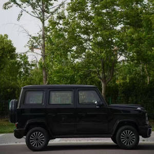 Vehículo Eléctrico de Cinco Plazas con Motor de 3500W, Nueva Energía, Baja Velocidad, Tracción en las Cuatro Ruedas, con Batería de Litio y Caja de Cambios - Product Image 5