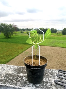 Enrejado de Acero para Jardín y Hogar, Moderno, Ecológico, Económico, con Recubrimiento en Polvo, Certificado a Prueba de Roedores, Soporte para Modelos 3D - Product Image 3