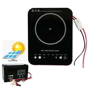 <strong>2024</strong> Hot Sale Solar DC 48V Battery Powered Electric <strong>Induction</strong> <strong>Cooker</strong> - Product Image 1