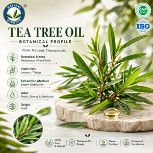 Premium Quality Pure Tea Tree Essential Oil Natural Wholesale Supply for Aromatherapy & Cosmetics Formulations - Katyani Exports - Product Image 2