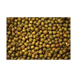 ถั่วเขียวสะอาดตามธรรมชาติ บรรจุสำหรับการแปรรูปอาหารเชิงพาณิชย์ - Product Image 6