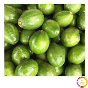 <b>Fresh</b> organic avocado <b>fruit</b> tropical creamy material for puree baby food culinary export wholesale Vietnam - Product Image 4