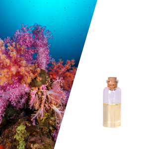 Gloryage V-Coratight Light Daily Chemicals Hydrolyzed <b>Collagen</b> and Caulerpa Lentillifera Extract Face Cosmetics Instant Lifting - Product Image 1