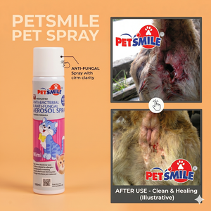 Los mejores productos de limpieza y cuidado para mascotas, artículos de bienestar para mascotas, champú para perros, gel de ducha, gel de baño, limpiador corporal para gatos. - Product Image 3