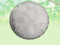 Mentha Arvensis Menthe sauvage Menthol Pudina Ka Phool Herbes brutes séchées Extrait végétal en vrac Emballage en fût