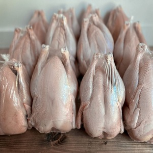 ซุปเปอร์ดีลไก่แช่แข็ง บรรจุภัณฑ์แบบขายส่ง พร้อมระบบซัพพลายเชนที่เชื่อถือได้สำหรับการส่งออกและขายส่ง - Product Image 2