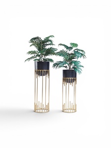 Juego de Soportes Modernos para Plantas de Interior, Chapados en Oro, Estilo Minimalista, para Plantas Verdes - Product Image 1