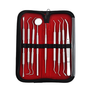 SHAHZIK INTERNATIONAL 14 Instruments d'hygiène buccale manuels en acier inoxydable certifiés CE Classe I, ensemble de 9 pièces, alimentés par turbine - Product Image 1