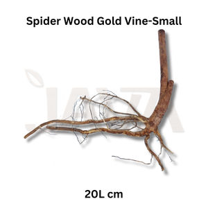 Decoración Ecológica para Acuarios y Terrarios, Madera de Araña Dorada, 20 cm - Product Image 2