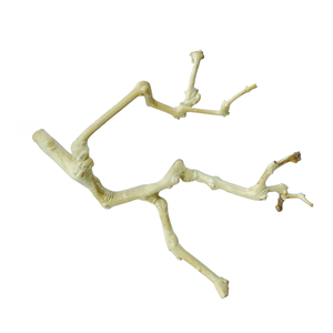 Perchoir pour oiseaux multi-branchements en bois flotté naturel, forme irrégulière, écologique, fabriqué au Vietnam - Product Image 1