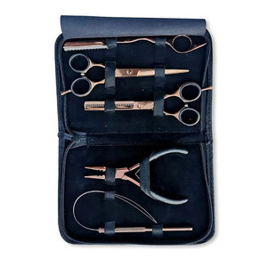 Kit d'outils professionnels pour extensions de cheveux naturels, avec ciseaux de barbier, logo personnalisé, haute qualité, argent et or rose, prix de gros - Product Image 2