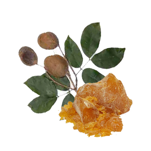 Copaiba Balsam Essential Oil | <b>Bulk</b> Supplier Premium Copaifera Officinalis Oil Wholesale OEM Private Label Manufacturer - Product Image 5