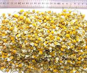 Thé en sachet fraîchement traité à la camomille exporté d'Inde - Product Image 4