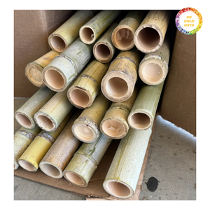 Varas de bambú ecológicas para diversas aplicaciones, como andamios, soporte para jardines y fines decorativos. - Product Image 1