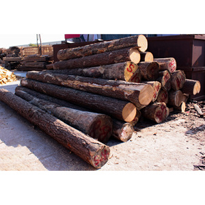 Bûches de bois tendres naturelles, plaquettes de bois, bois massif, idéales pour le revêtement mural, les meubles et les projets de design d'intérieur - Product Image 1