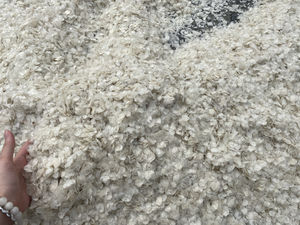 Meilleure vente en gros 2024 écailles de poisson tilapia séchées 100 pures avec un prix compétitif et une qualité de qualité sur le marché - Product Image 6