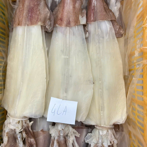 Cumi-cumi Kering Vietnam Premium – Hasil Laut Alami yang Dikeringkan dengan Sinar Matahari, Kualitas Tinggi untuk Ekspor Grosir