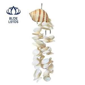 Meilleures ventes : Carillon éolien écologique en coquillages, durable, fait main, style décoration en coquillages, artisanat océanique durable, ornement suspendu sonore - Product Image 1