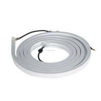 Bande lumineuse LED flexible en silicone pour piscine, 12V DC, 10W, remplie de résine souple, couleurs changeantes RGBW, étanche IP68, garantie 2 ans