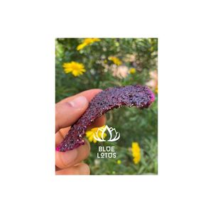 Fruits du dragon séchés à l'air doux 2026 en vrac, vente en gros, collation de fruits séchés de qualité supérieure, approvisionnement OEM sous marque privée - Product Image 2