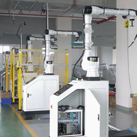 Robot de palettisation automatique, machine de palettisation robotisée, ligne d'emballage pour sacs, cartons et boîtes, capacité de 25 kg à 50 kg, usage intensif