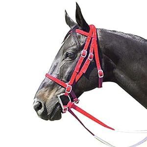 Bridon de cheval en PVC de style occidental, vente en gros, imperméable, personnalisé, OEM, coloré, durable, pour l'équitation - Product Image 3