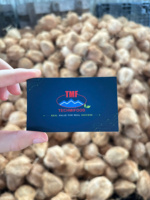 Techmifood Verse Gerijpte Half-Gepelde Kokosnoten Bruine Schil Tropisch Fruit Kamerstemperatuur Opslag 90 Dagen Houdbaarheid Water Bulk